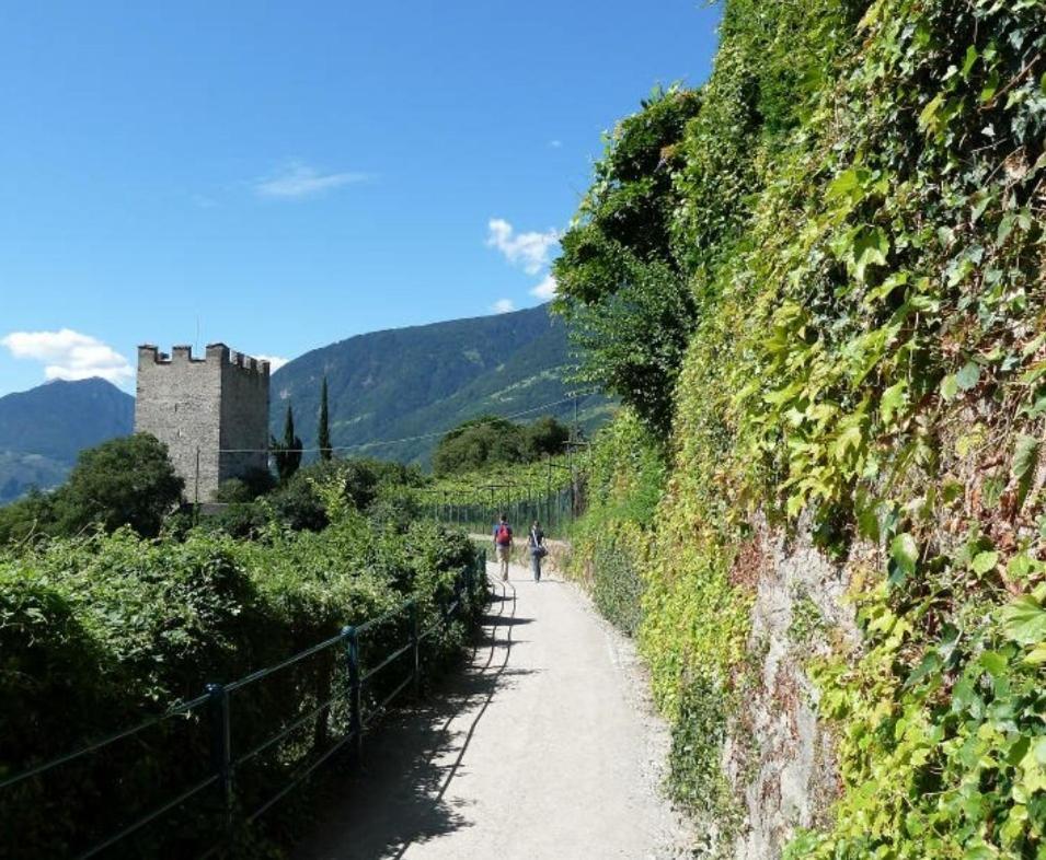 Apartment Roemerbruecke - Ponte Romano Merano Dış mekan fotoğraf